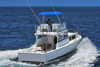 Custom 36 Feet Charter -  Puerto Vallarta