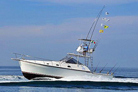 36' Alure Fishing Boat - Vallarta