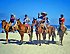 Beach Horseback Riding Tour