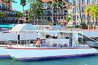 Catamaran Tour Puerto Vallarta