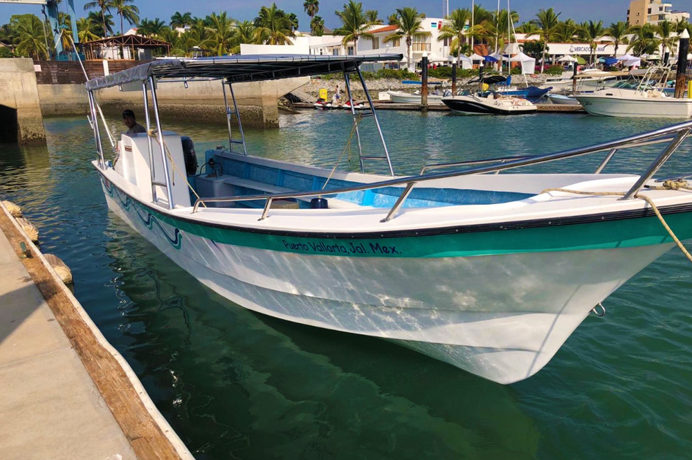 Whale Watching Puerto Vallarta