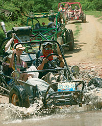 tour buggies