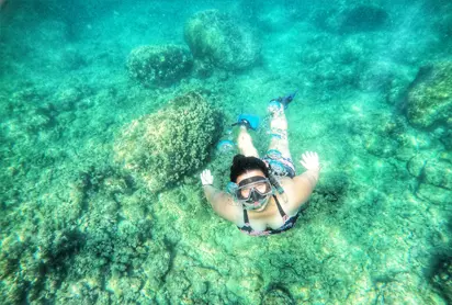 Puerto Vallarta Snorkeling