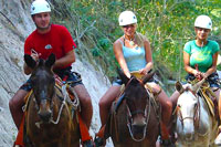 Puerto Vallarta Horseback Riding 