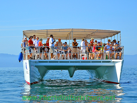 Small Group Catamaran Charter